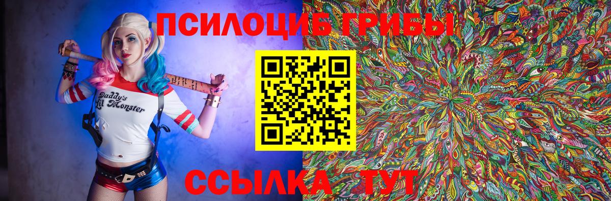 Карачаевск  Галлюциногенные грибы Magic Shrooms  Вход с VPN 
