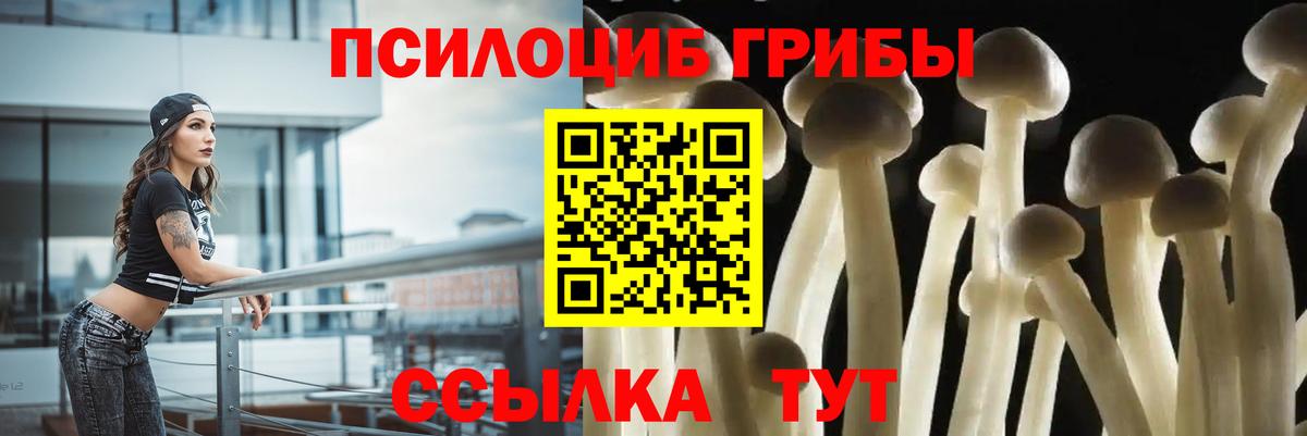 Галлюциногенные грибы мицелий Карачаевск